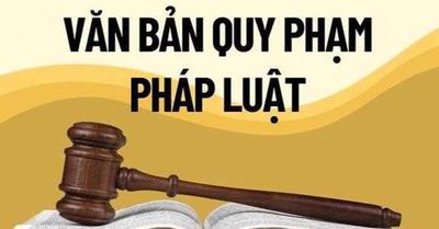 Phó Thủ tướng yêu cầu tổng hợp vướng mắc chính sách trước ngày 5/6