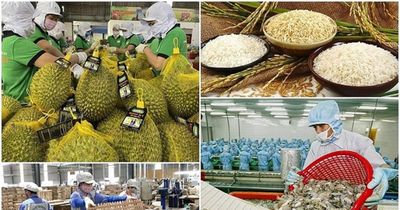 Xuất khẩu nông, lâm, thủy sản vượt 30,6 tỷ USD sau 5 tháng