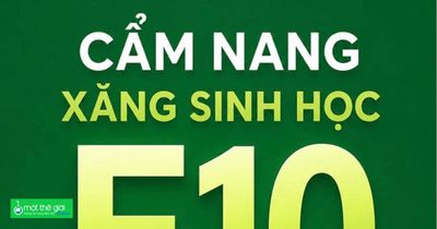 Cẩm nang bỏ túi cho hàng triệu chủ xe sử dụng xăng E10