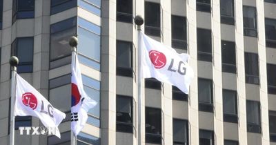 LG Electronics tiếp tục dẫn đầu thế giới với hơn 50% thị phần TV OLED toàn cầu