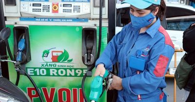 Xăng E10: Lời giải cho an ninh năng lượng, kiến tạo nền kinh tế Xanh và bền vững