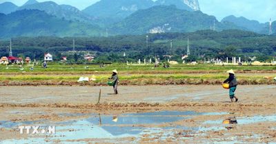 Nắng nóng kéo dài gây nhiều áp lực lên đời sống và sản xuất ở Quảng Trị