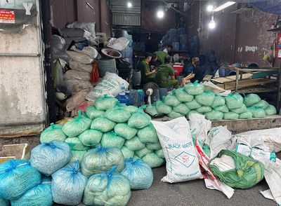 Khởi tố 4 bị can liên quan vụ sản xuất hơn 1.000 tấn giá đỗ chứa hóa chất cấm