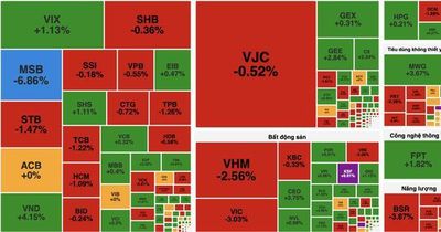 Áp lực từ nhóm vốn hóa lớn kéo VN-Index giảm gần 19 điểm