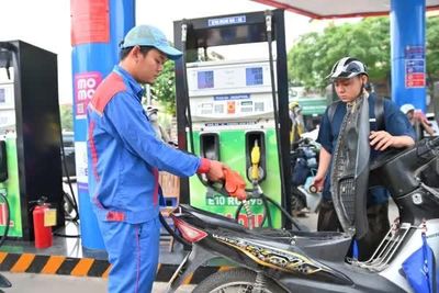 Chủ tịch Hiệp hội Nhiên liệu sinh học: Xăng E10 thích nghi tốt với động cơ xe tại Việt Nam