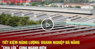 Tiết kiệm năng lượng: Doanh nghiệp Đà Nẵng 'chia lửa' cùng ngành điện