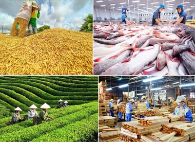 Xuất khẩu nông lâm thủy sản 5 tháng đầu năm 2026 đạt hơn 30,6 tỷ USD