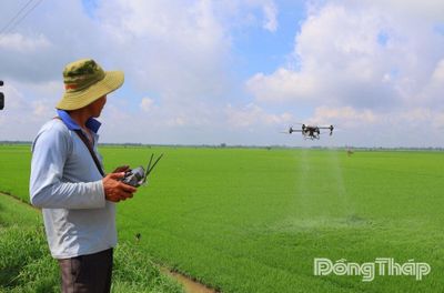 Tam Nông: Đề án 1 triệu hecta và cuộc chuyển đổi tư duy trên đồng lúa