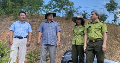 Phó Chủ tịch UBND tỉnh Dương Mah Tiệp kiểm tra công tác quản lý, bảo vệ rừng và PCCC rừng tại xã An Lão