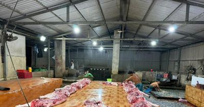Công an tỉnh Đồng Tháp phát hiện 4 cơ sở giết mổ động vật trái phép trong đợt cao điểm