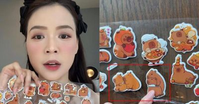 Diễn viên Sam cảnh báo rủi ro từ đồ chơi Capybara: Nguy cơ trẻ học theo hành vi bạo lực