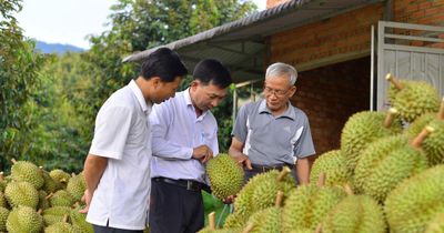 Lâm Đồng hôm nay 01/06