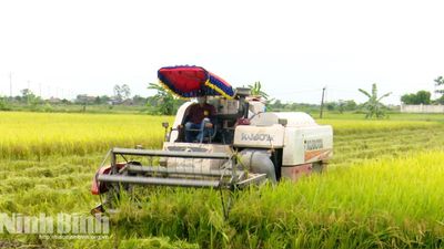 Vụ Mùa 2026: Nhận diện thách thức, chủ động ứng phó