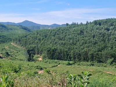 Phát triển kinh tế gắn với bảo vệ rừng