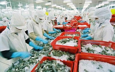 Xuất khẩu nông lâm thủy sản vượt 30 tỷ USD sau 5 tháng, xuất siêu hơn 8,4 tỷ USD