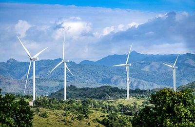 Ai đứng sau Điện Gia Lai (GEG)?