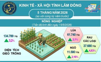 Kinh tế Lâm Đồng 5 tháng đầu năm khởi sắc ở nhiều lĩnh vực