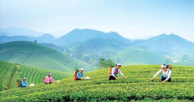 Thái Nguyên: Lấy văn hóa bản địa kiến tạo mũi nhọn kinh tế du lịch