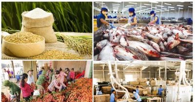 Xuất khẩu nông, lâm, thủy sản bứt tốc, 5 tháng đầu năm đạt gần 31 tỷ USD