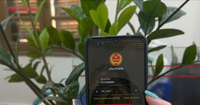 Sở hữu nhiều mã số thuế cùng lúc, người dân có cần phải làm thủ tục đóng mã cũ?