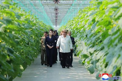 Ông Kim Jong Un cùng con gái thị sát tổ hợp nhà kính công nghệ cao