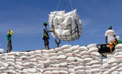 Giữ nhịp tăng trưởng, tạo đà bứt phá cho ngành nông nghiệp