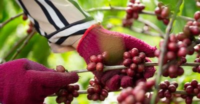 Buôn Ma Thuột được National Geographic vinh danh điểm đến ẩm thực hàng đầu thế giới