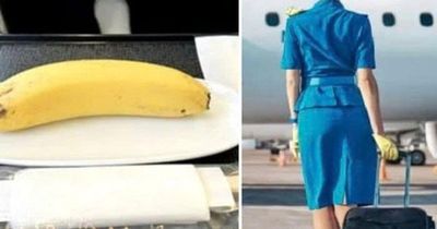 Vì sao tiếp viên hàng không thường mang theo 1 quả chuối trên máy bay? Hóa ra để làm điều này