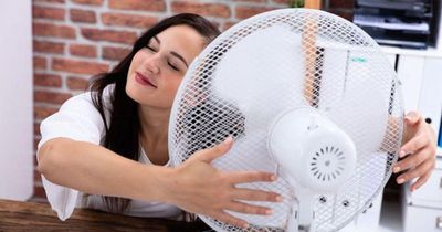 Vừa đi nắng về đã bật quạt, điều hòa thổi thẳng vào mặt: Thói quen giải nhiệt tiềm ẩn nguy cơ liệt mặt