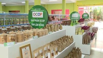 Siết chặt quản lý nhãn hiệu OCOP, bảo vệ uy tín sản phẩm Việt
