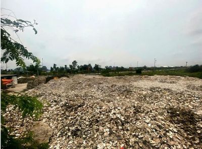 Đổ vỏ hàu ra môi trường chủ cơ sở chế biến ở Quảng Ninh bị khởi tố