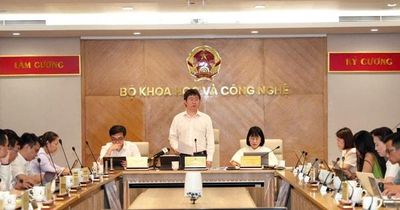 Hơn 1.400 vụ xâm phạm sở hữu trí tuệ bị xử lý sau 3 tuần cao điểm