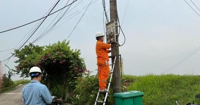 Xã Hồng Vân: Cắt điện 9 trường hợp vi phạm tại bãi sông Hồng