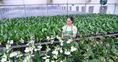 Đào tạo nâng cao chất lượng lao động ngành Nông nghiệp, hình thành lực lượng nông dân số