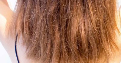 Đừng ngó lơ 4 dấu hiệu tóc cháy nắng: Cách 'hồi sinh' mái tóc khô xơ