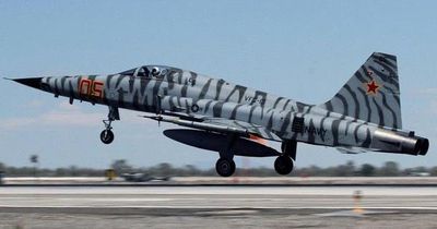 Vì sao Hải quân Mỹ buộc phải cho loạt tiêm kích F-5 Tiger II 'về hưu'?