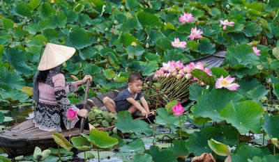 Đồng Tháp mở hội sen, quảng bá ngành hàng hơn 1.900 tỉ đồng/năm