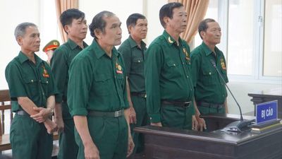 Hoãn phiên tòa vụ 6 cựu chiến binh kêu oan tội hủy hoại rừng