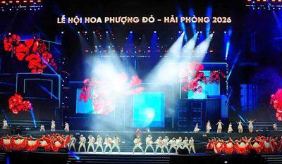 Vì sao Lễ hội Hoa Phượng Đỏ ngày càng hút khách?