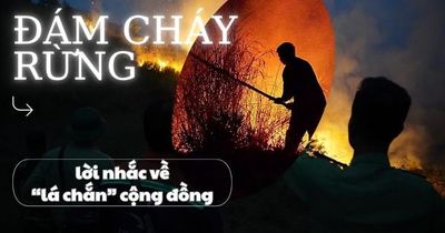 Đám cháy rừng và lời nhắc về 'lá chắn' cộng đồng