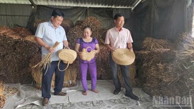 Phụ nữ Vị Thủy biến tài nguyên bản địa thành giá trị kinh tế