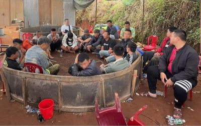 Phá địa điểm đá gà cá độ