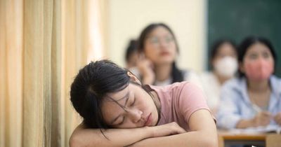 Tại sao có những sinh viên chọn cách sống như 'bóng ma' trong các trường đại học?