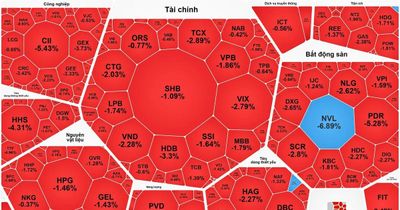 Thị trường chìm trong sắc đỏ, VN-Index giảm phiên thứ 6 liên tục