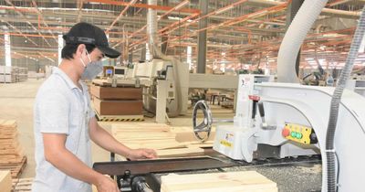 Sản xuất công nghiệp TPHCM duy trì đà tăng tích cực