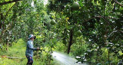 Đồng Tháp, Tây Ninh: Đảm bảo nước ngọt, chủ động ứng phó hiện tượng El Nino