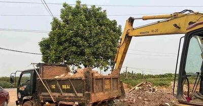 Khởi tố đối tượng đổ trái phép hơn 169 tấn chất thải ra môi trường