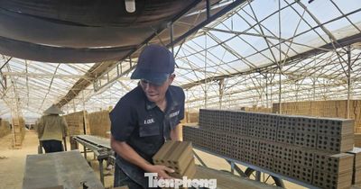 Đắk Lắk lý giải việc loạt lò gạch vẫn hoạt động bất chấp lệnh dừng