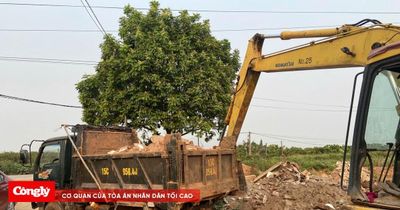 Khởi tố đối tượng đổ thải vật liệu xây dựng trái phép