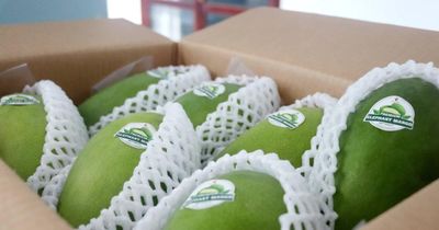 Cần Thơ cùng doanh nghiệp Hàn Quốc hợp tác nâng cao chuỗi giá trị nông sản